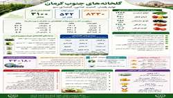 تولید پایدار، امنیت غذایی و آینده ای سبز / گلخانه های سبزی و صیفی جنوب کرمان